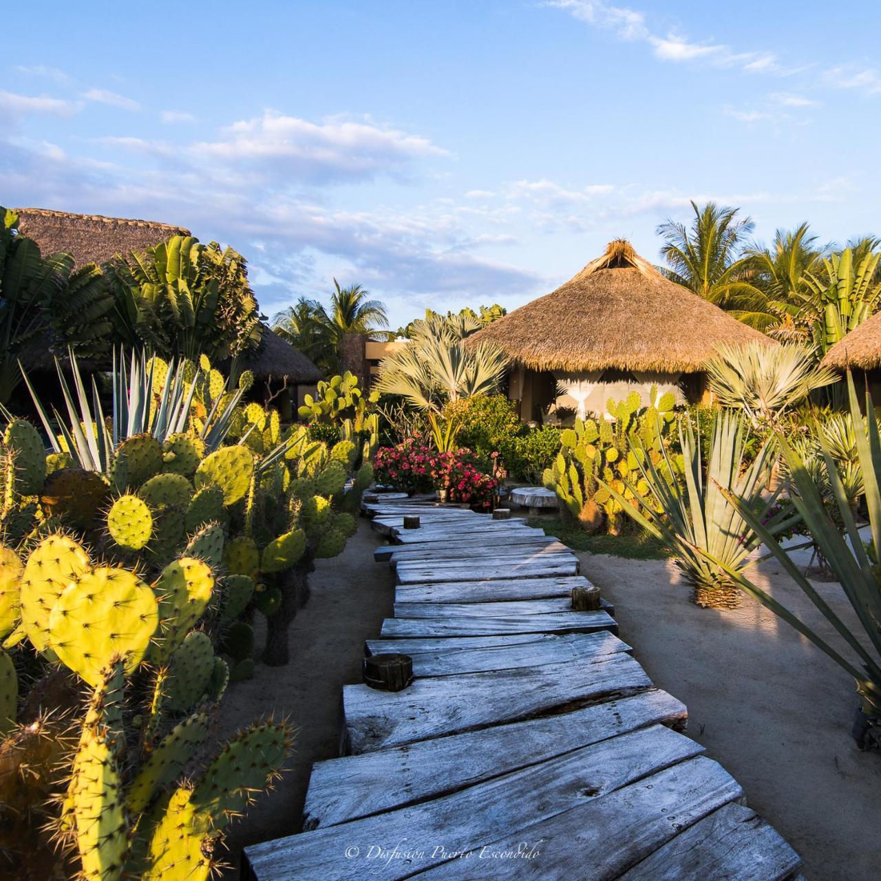 Samora Luxury Resort Santa María Colotepec Exteriér fotografie